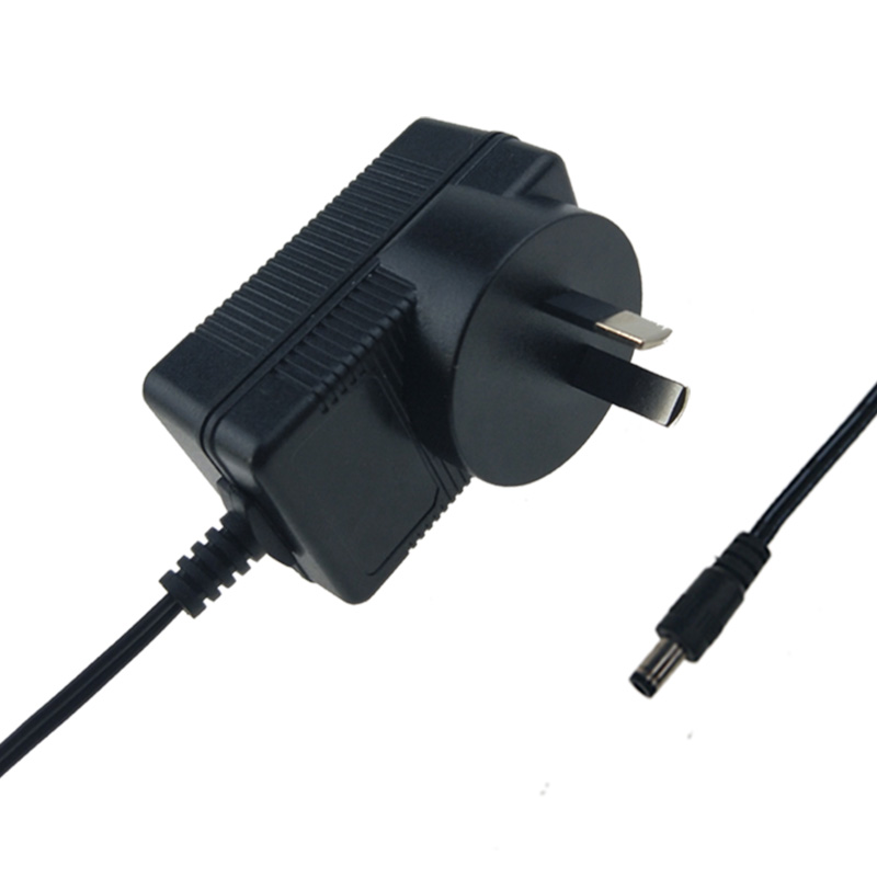 SAA 6V 300mA Ac Adapter