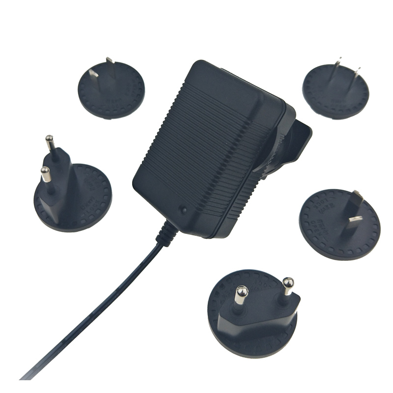 12v-2a-interchangeable-plug.jpg