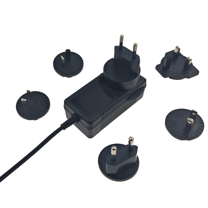 18V 0.5A Interchangeable Plugs Power Adapter