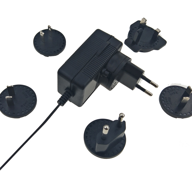 19V 1A Interchangeable Plug AC DC Power Adapter