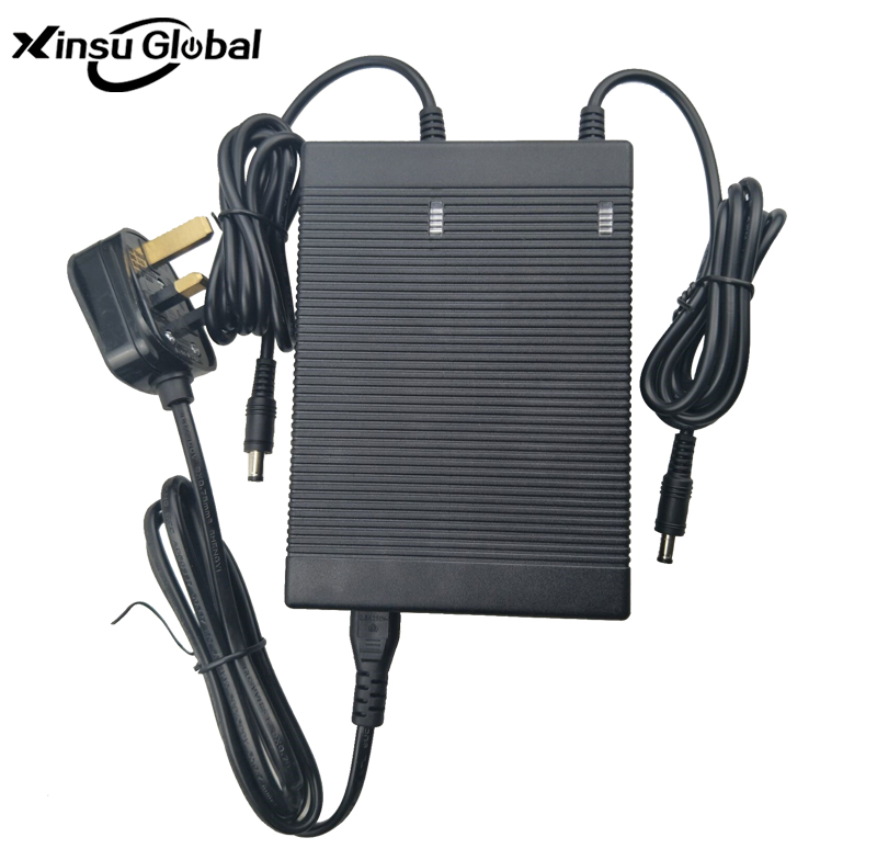 Dual Output 29.4V 1AX2 Lithium Battery Charger For Suspended Shoes